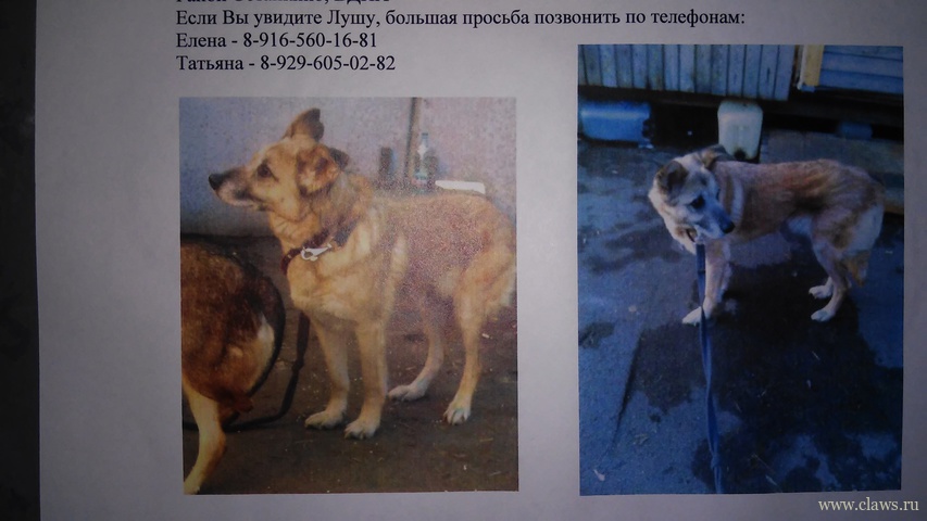 Фото не найдено