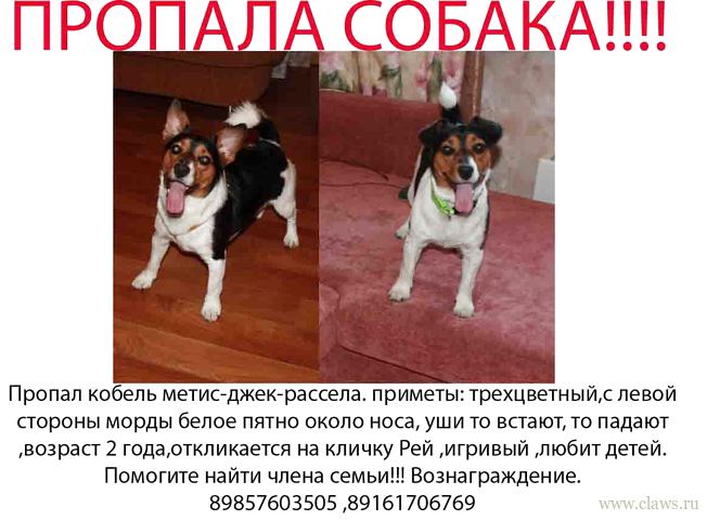 Фото не найдено