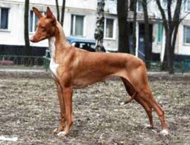 Фото не найдено