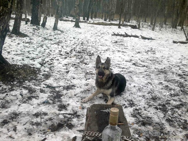 Фото не найдено