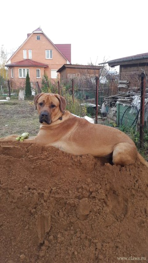 Фото не найдено