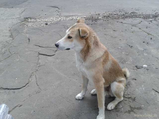 Фото не найдено