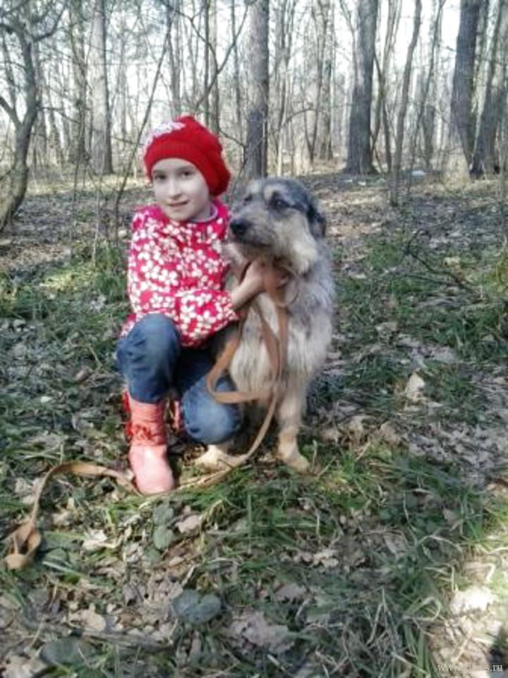 Фото не найдено