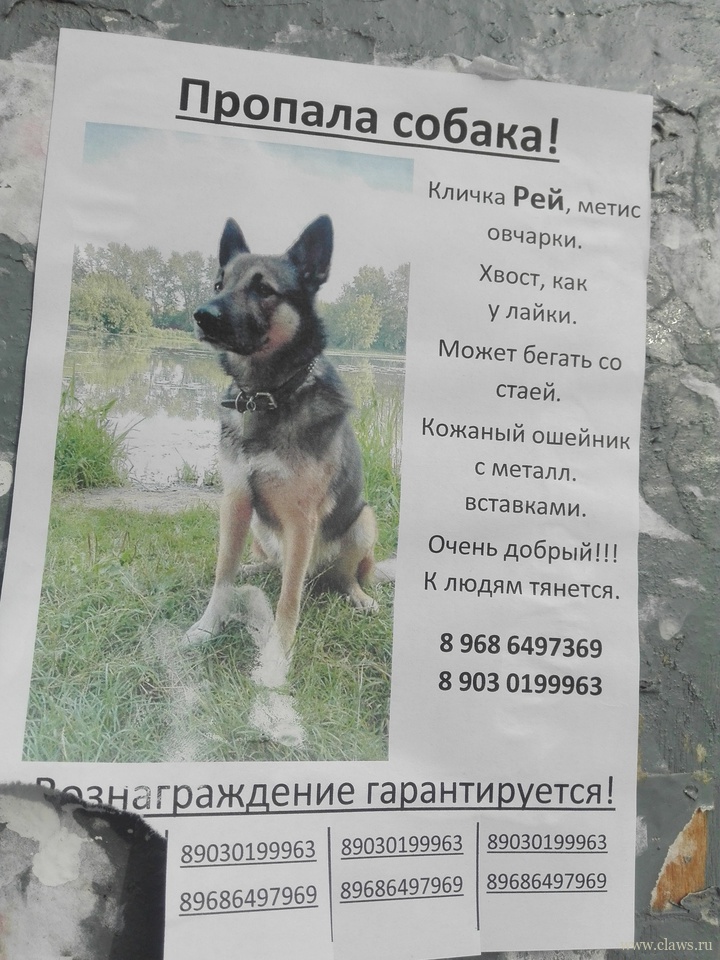 Фото не найдено