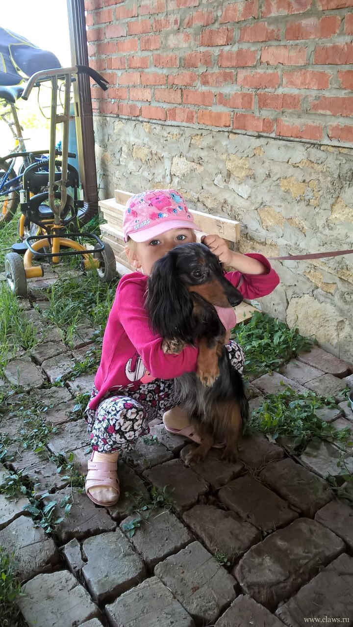 Фото не найдено