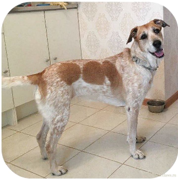 Фото не найдено