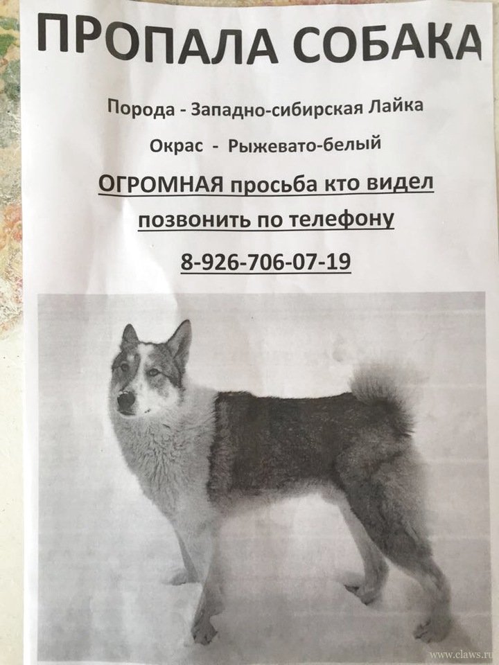 Фото не найдено