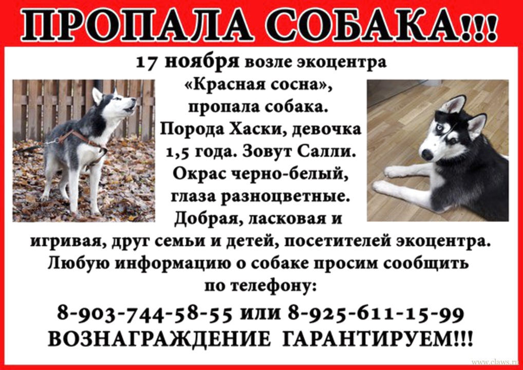 Фото не найдено