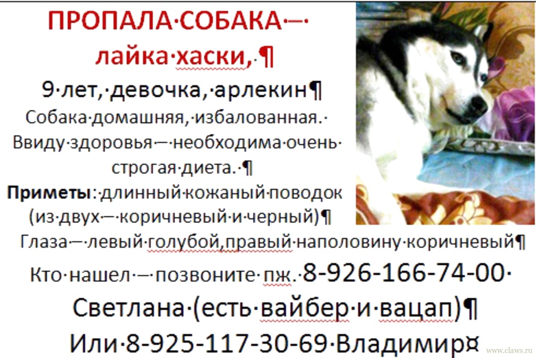 Фото не найдено