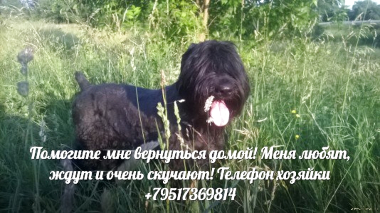 Фото не найдено