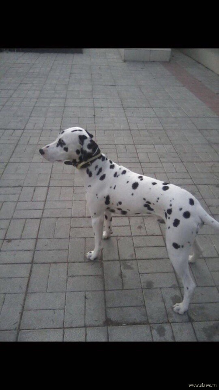 Фото не найдено