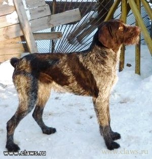 Фото не найдено