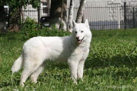 Фото не найдено