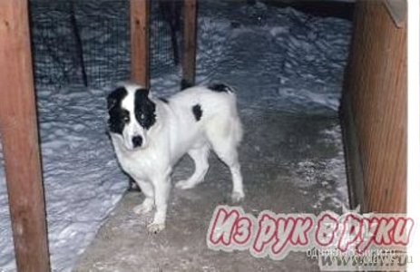 Фото не найдено