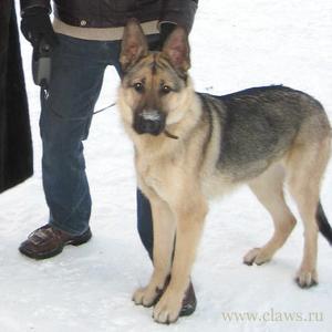 Фото не найдено