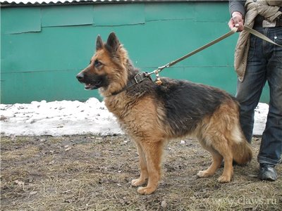 Фото не найдено