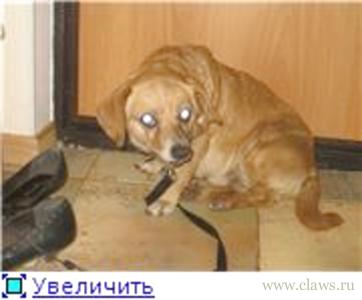 Фото не найдено