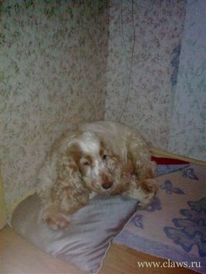 Фото не найдено