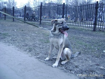Фото не найдено