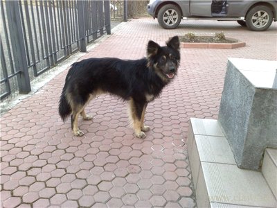 Фото не найдено