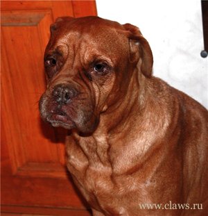 Фото не найдено