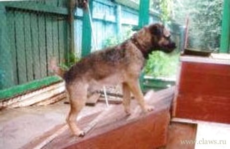 Фото не найдено