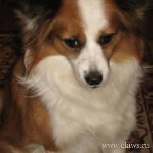Фото не найдено