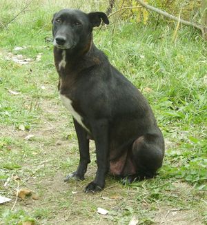 Фото не найдено