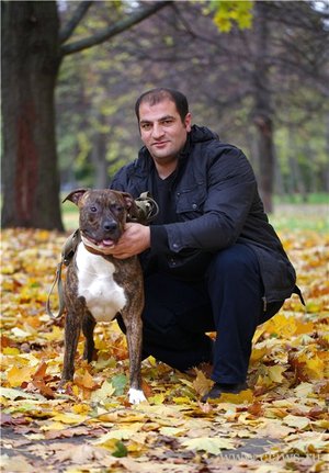Фото не найдено