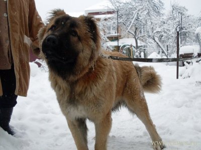 Фото не найдено
