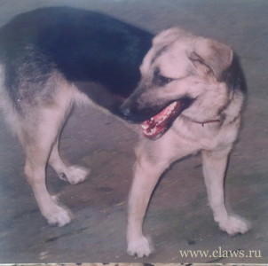 Фото не найдено
