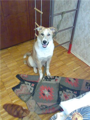 Фото не найдено