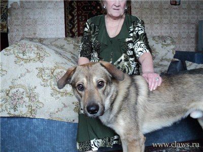 Фото не найдено