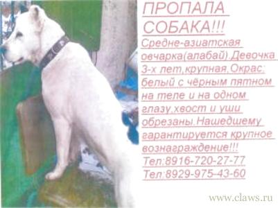 Фото не найдено