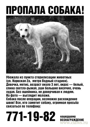 Фото не найдено