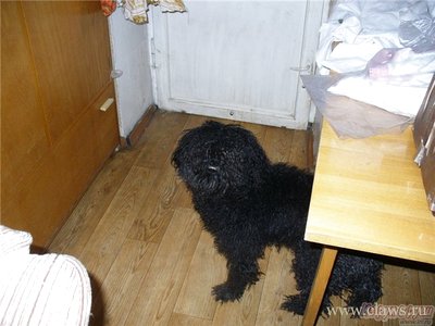 Фото не найдено