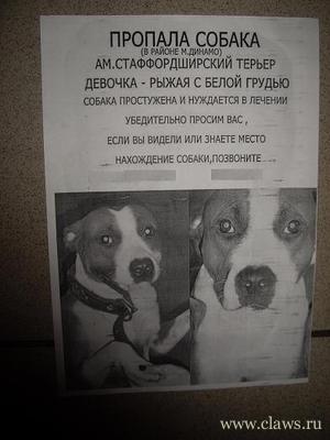 Фото не найдено