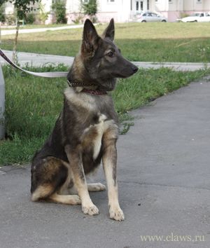 Фото не найдено