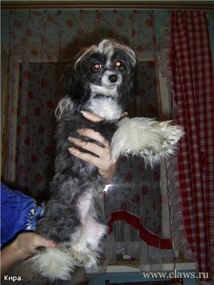 Фото не найдено