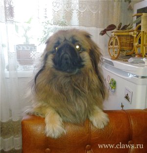 Фото не найдено
