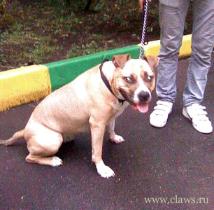 Фото не найдено