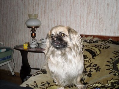 Фото не найдено