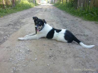 Фото не найдено