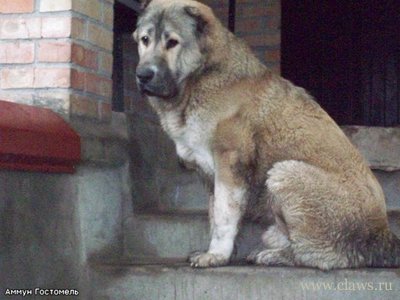 Фото не найдено