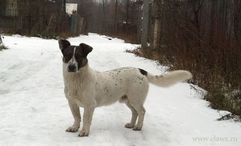 Фото не найдено