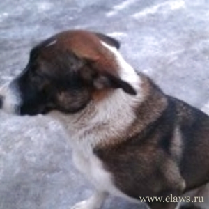 Фото не найдено