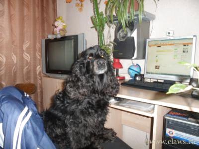Фото не найдено