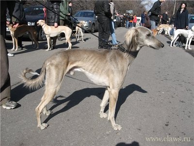 Фото не найдено