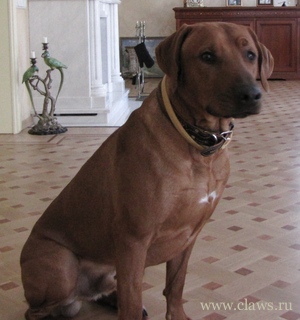 Фото не найдено