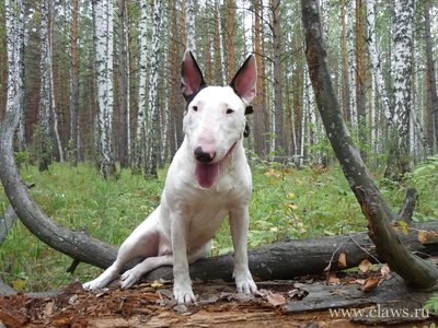 Фото не найдено